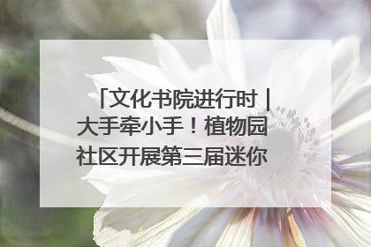 文化书院进行时｜大手牵小手！植物园社区开展第三届迷你马拉松活动