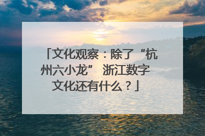 文化观察：除了“杭州六小龙” 浙江数字文化还有什么？