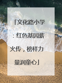 文化路小学：红色基因薪火传，榜样力量润童心