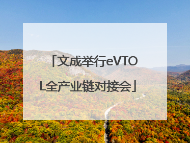 文成举行eVTOL全产业链对接会