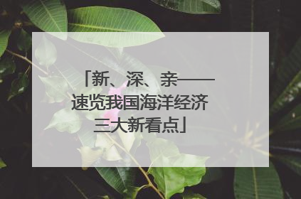 新、深、亲——速览我国海洋经济三大新看点