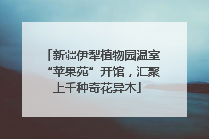新疆伊犁植物园温室“苹果苑”开馆，汇聚上千种奇花异木