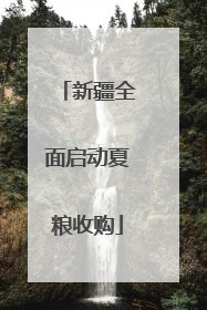 新疆全面启动夏粮收购