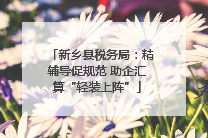 新乡县税务局：精辅导促规范 助企汇算“轻装上阵”