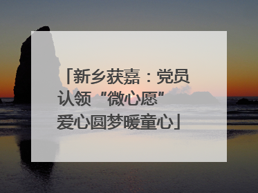 新乡获嘉：党员认领“微心愿” 爱心圆梦暖童心