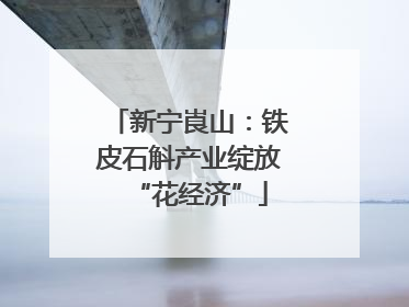 新宁崀山：铁皮石斛产业绽放“花经济”