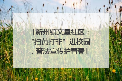新州镇文星社区：“扫黄打非”进校园，普法宣传护青春