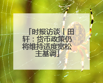 时报访谈丨田轩：货币政策仍将维持适度宽松主基调