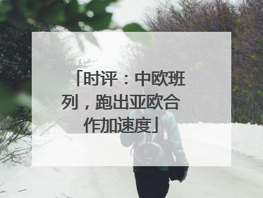 时评：中欧班列，跑出亚欧合作加速度