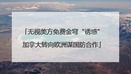 无视美方免费金穹“诱惑” 加拿大转向欧洲谋国防合作