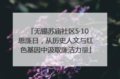 无锡苏庙社区5·10思廉日，从历史人文与红色基因中汲取廉洁力量