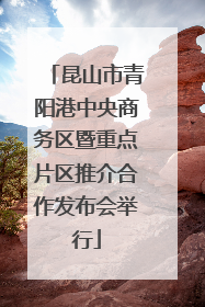 昆山市青阳港中央商务区暨重点片区推介合作发布会举行