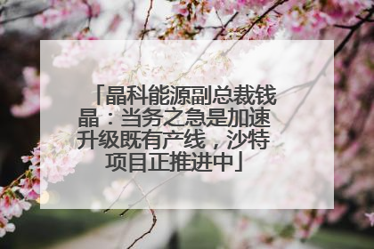 晶科能源副总裁钱晶：当务之急是加速升级既有产线，沙特项目正推进中