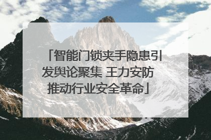 智能门锁夹手隐患引发舆论聚集 王力安防推动行业安全革命