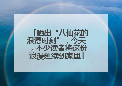 晒出“八仙花的浪漫时刻”，今天，不少读者将这份浪漫延续到家里