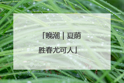 晚潮｜夏荫胜春尤可人