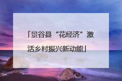 景谷县“花经济”激活乡村振兴新动能