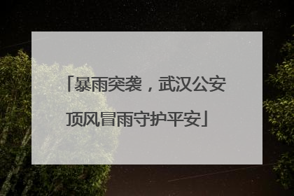 暴雨突袭，武汉公安顶风冒雨守护平安