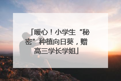 暖心！小学生“秘密”种植向日葵，赠高三学长学姐