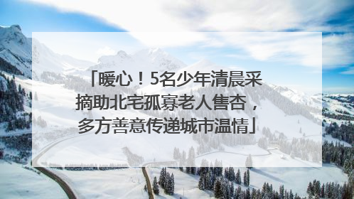 暖心！5名少年清晨采摘助北宅孤寡老人售杏，多方善意传递城市温情
