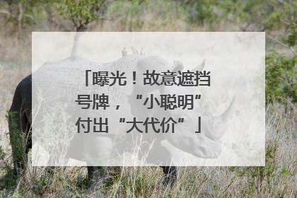 曝光！故意遮挡号牌，“小聪明”付出“大代价”
