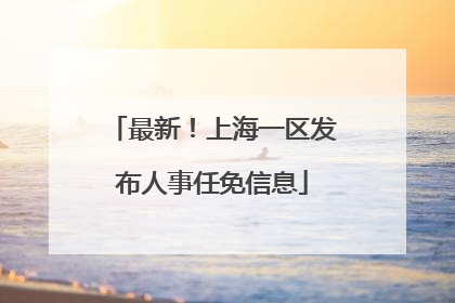 最新！上海一区发布人事任免信息