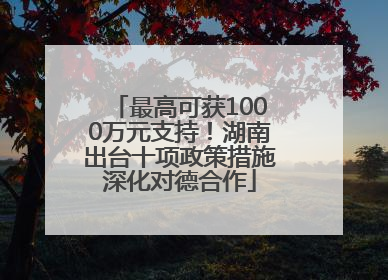 最高可获1000万元支持！湖南出台十项政策措施深化对德合作
