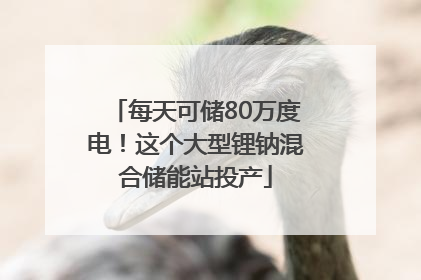 每天可储80万度电！这个大型锂钠混合储能站投产