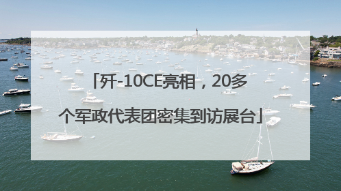 歼-10CE亮相，20多个军政代表团密集到访展台