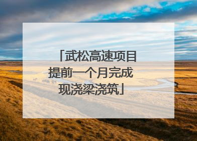 武松高速项目提前一个月完成现浇梁浇筑