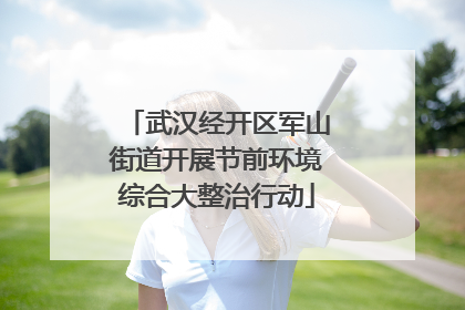武汉经开区军山街道开展节前环境综合大整治行动