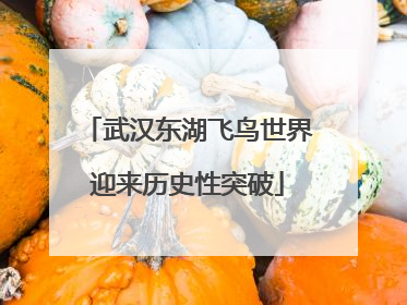 武汉东湖飞鸟世界迎来历史性突破