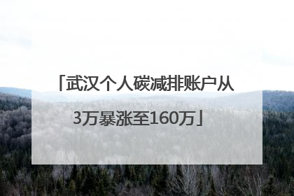 武汉个人碳减排账户从3万暴涨至160万