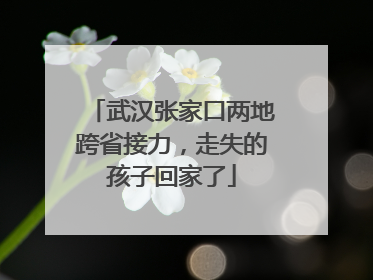 武汉张家口两地跨省接力，走失的孩子回家了