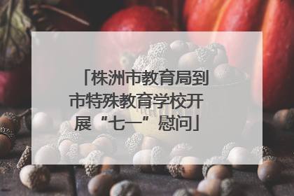 株洲市教育局到市特殊教育学校开展“七一”慰问