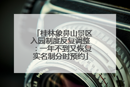 桂林象鼻山景区入园制度反复调整：一年不到又恢复实名制分时预约