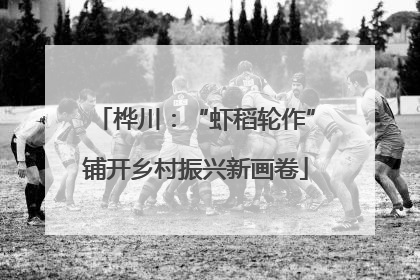 桦川：“虾稻轮作”铺开乡村振兴新画卷
