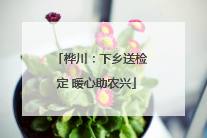桦川：下乡送检定 暖心助农兴