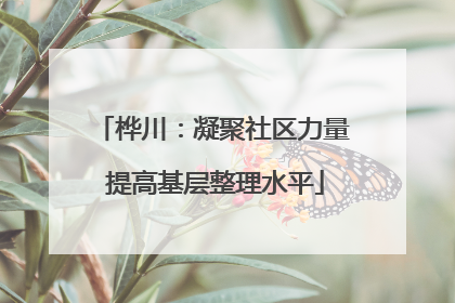 桦川：凝聚社区力量 提高基层整理水平