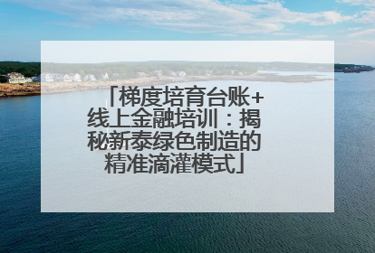梯度培育台账+线上金融培训：揭秘新泰绿色制造的精准滴灌模式