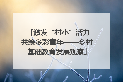 激发“村小”活力 共绘多彩童年——乡村基础教育发展观察
