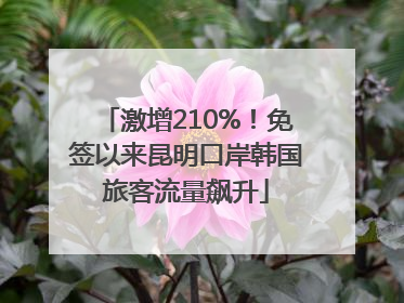 激增210%！免签以来昆明口岸韩国旅客流量飙升
