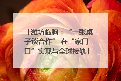 潍坊临朐：“一张桌子谈合作” 在“家门口”实现与全球接轨