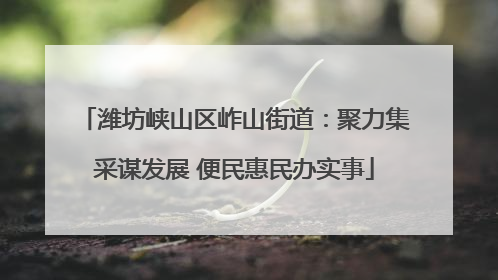 潍坊峡山区岞山街道：聚力集采谋发展 便民惠民办实事