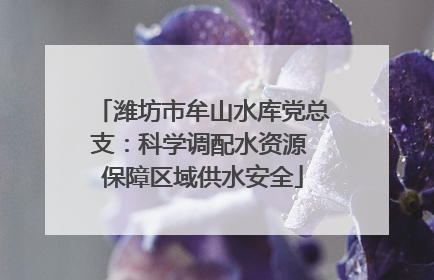 潍坊市牟山水库党总支：科学调配水资源 保障区域供水安全