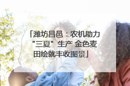 潍坊昌邑：农机助力“三夏”生产 金色麦田绘就丰收图景