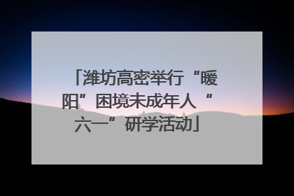 潍坊高密举行“暖阳”困境未成年人“六一”研学活动