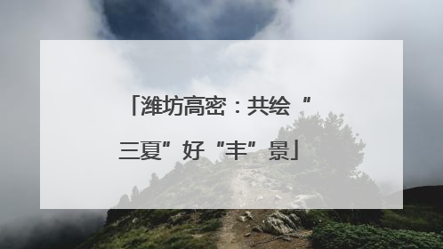 潍坊高密：共绘“三夏”好“丰”景