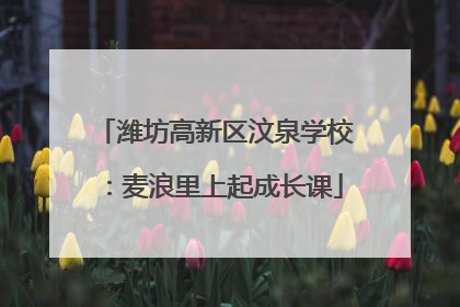 潍坊高新区汶泉学校：麦浪里上起成长课