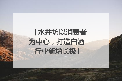 水井坊以消费者为中心，打造白酒行业新增长极